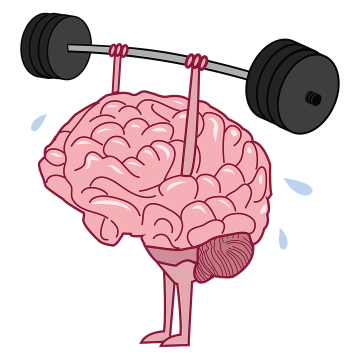 Human brain lifting weights