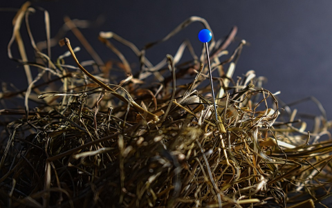 Needle in a haystack